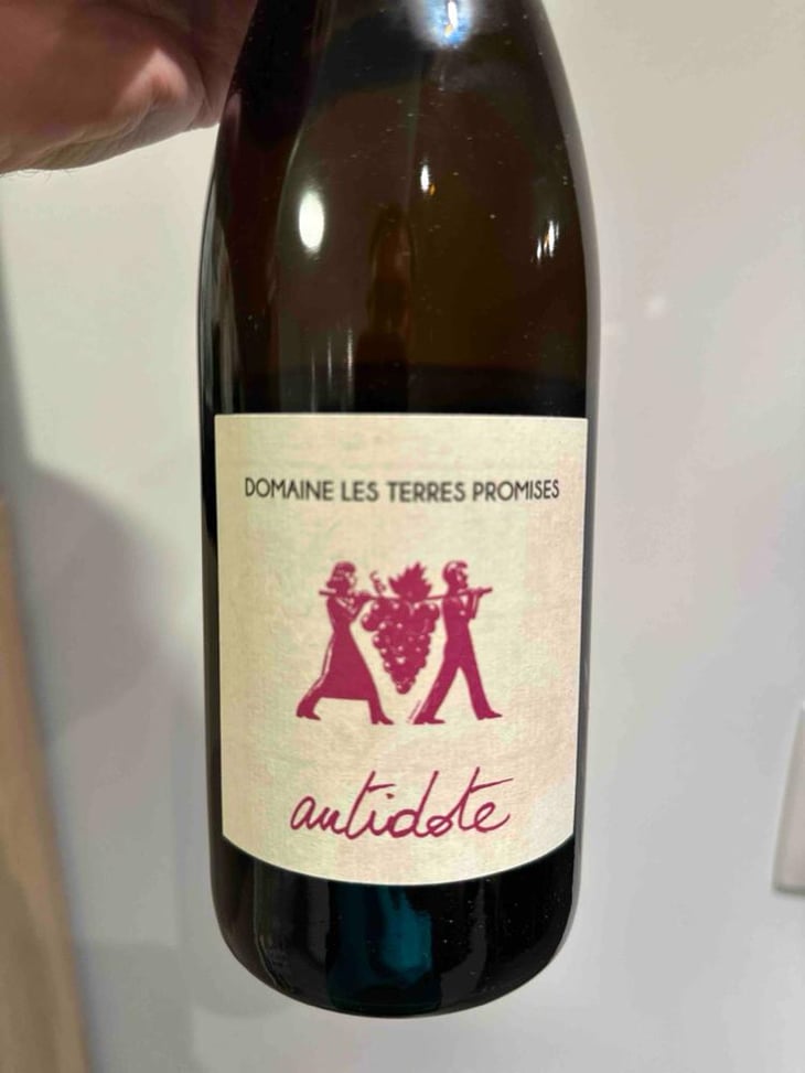 Antidote - Les Terres Promises - Jean-Christophe Comor 