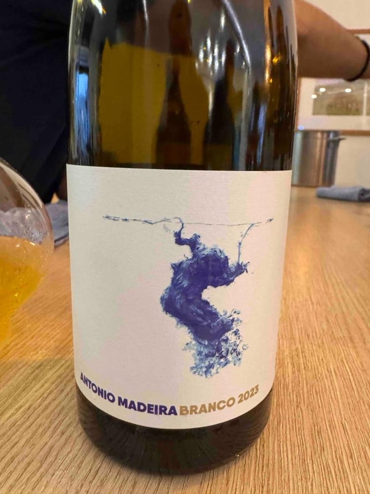 António Madeira Branco 2021 - António Madeira - António Madeira -2021