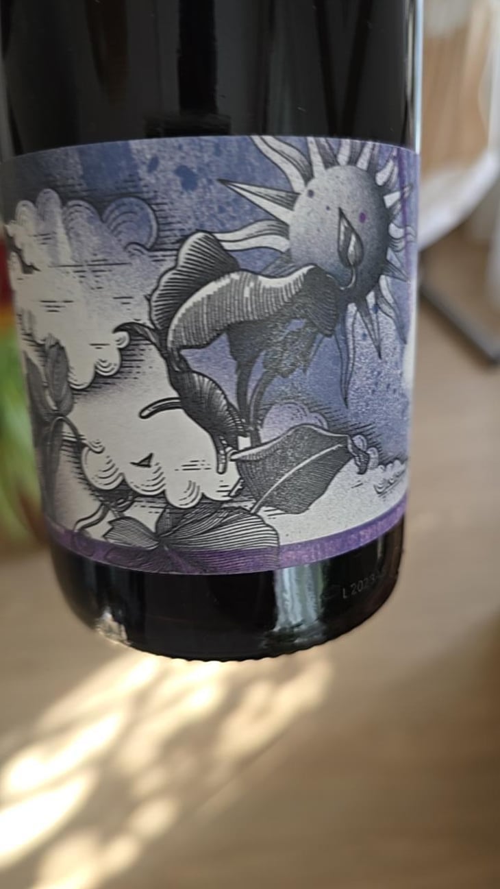Apex - Domaine Ludovic Archer - Ludovic Archer 