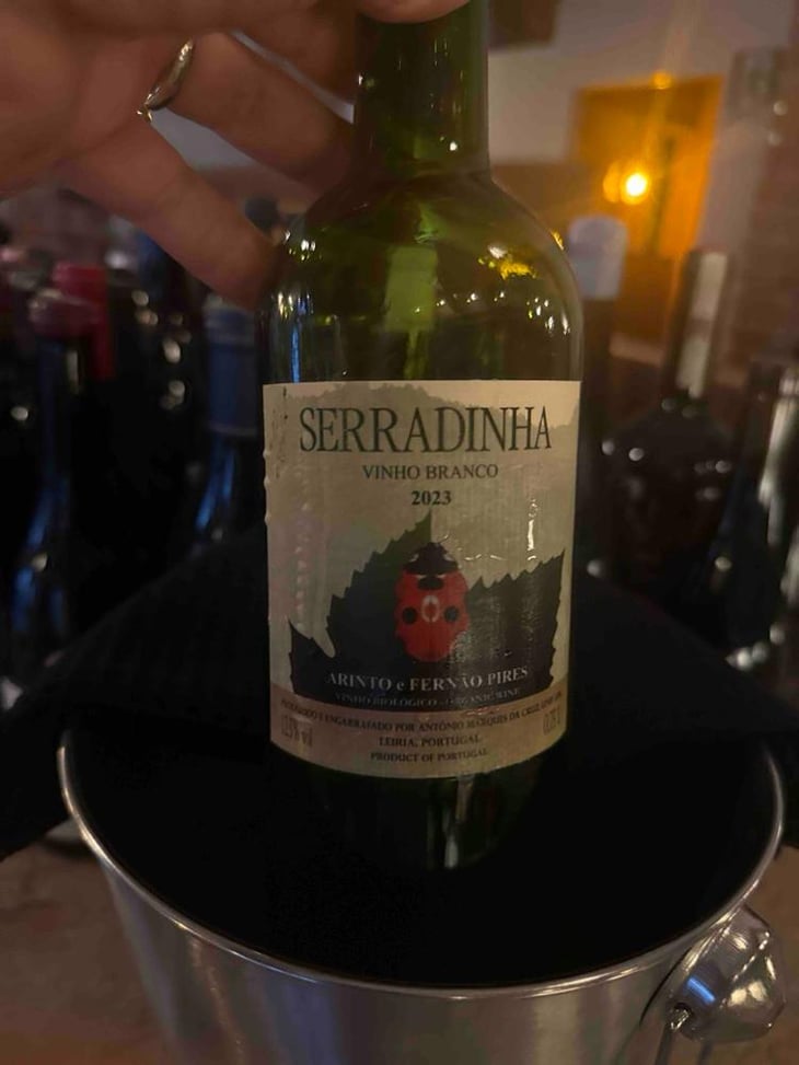 Arinto e Fernão Pires - Quinta da Serradinha - António Marques da Cruz 