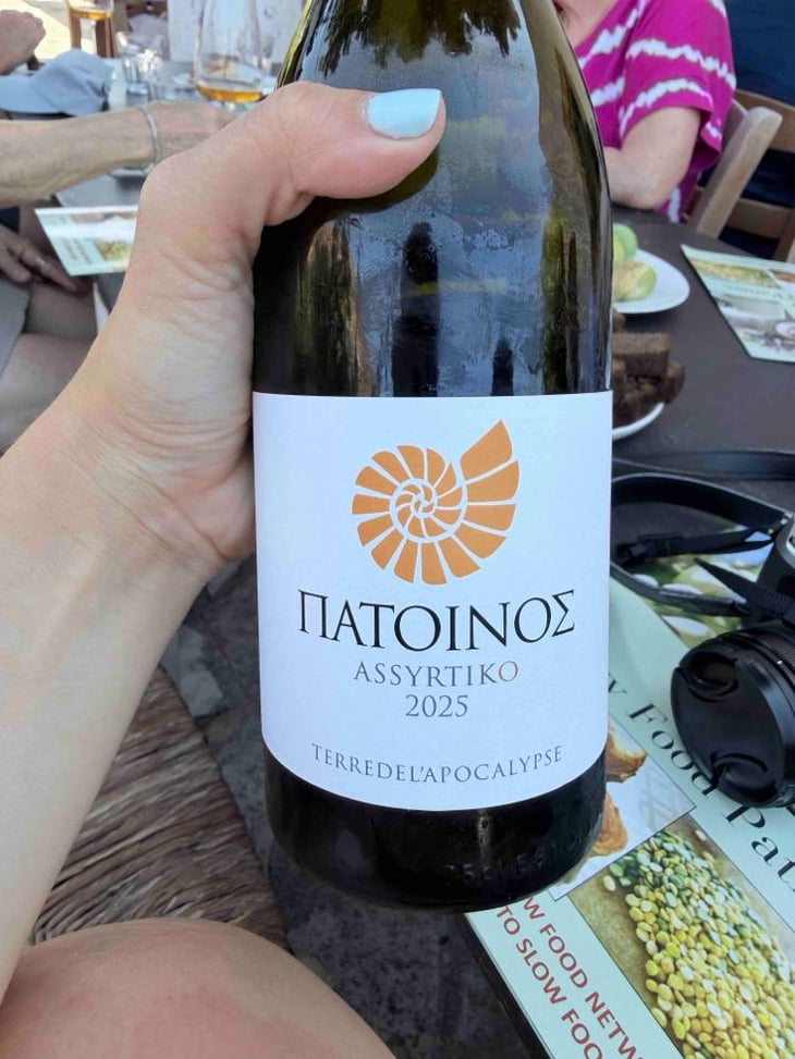 Assyrtiko Orange - Patoinos, Terre de l'Apocalypse - Josef Zisyadis -2022