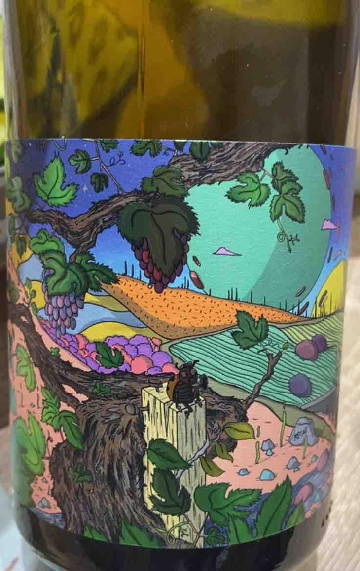 Aurore - Domaine De L’Enviegne - Alexis Tondeur -2021