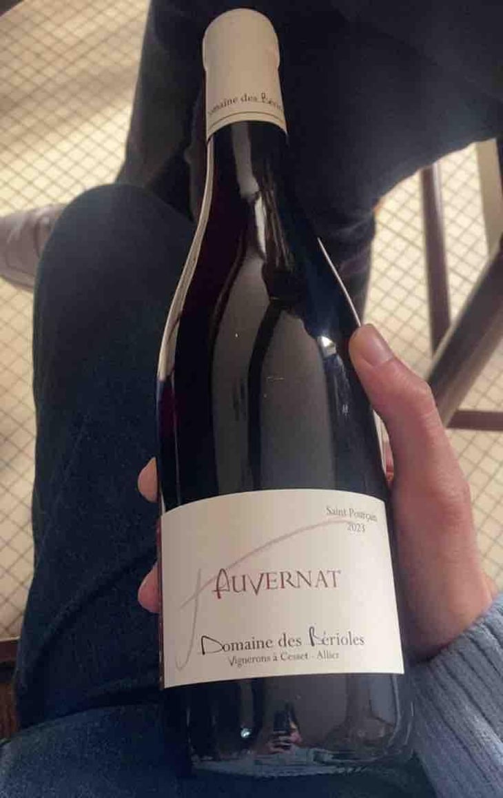 Auvernat - Domaine Des Bérioles - Jean Teissedre, Sophie et Jérôme Roux -2021