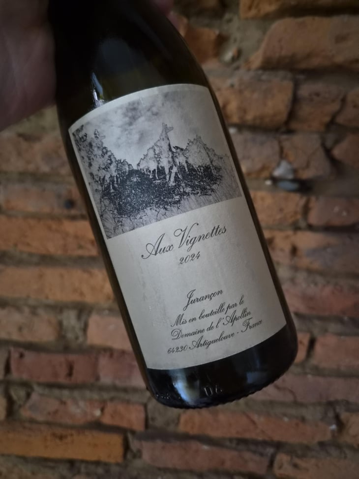 Aux Vignettes - Domaine de l’Apollin - Florent Foury -2024