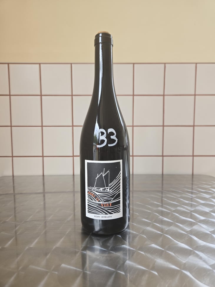 Avec le vent - Domaine Frédéric Mabileau - Rémy Mabileau 