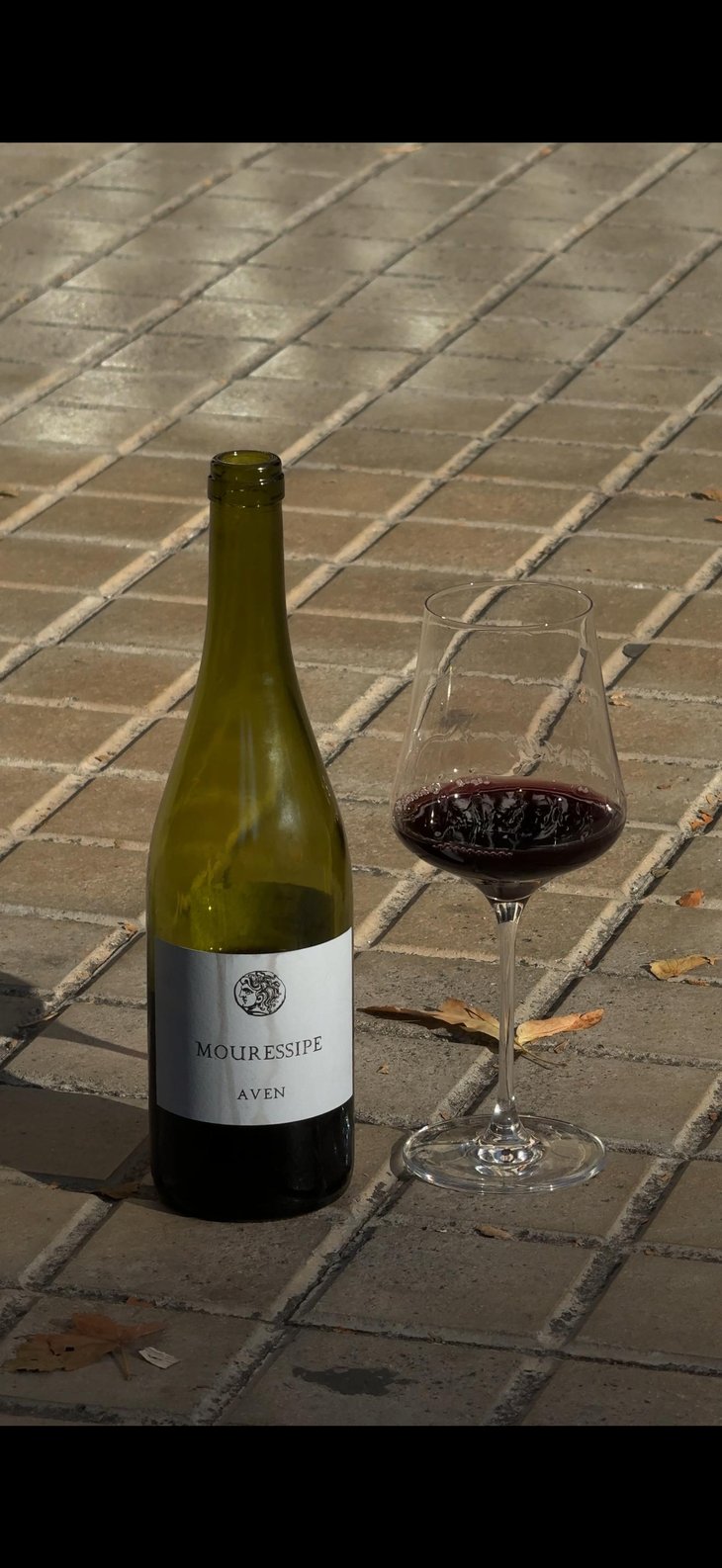 AVEN - Domaine Mouressipe - Pierre Saakovidi 
