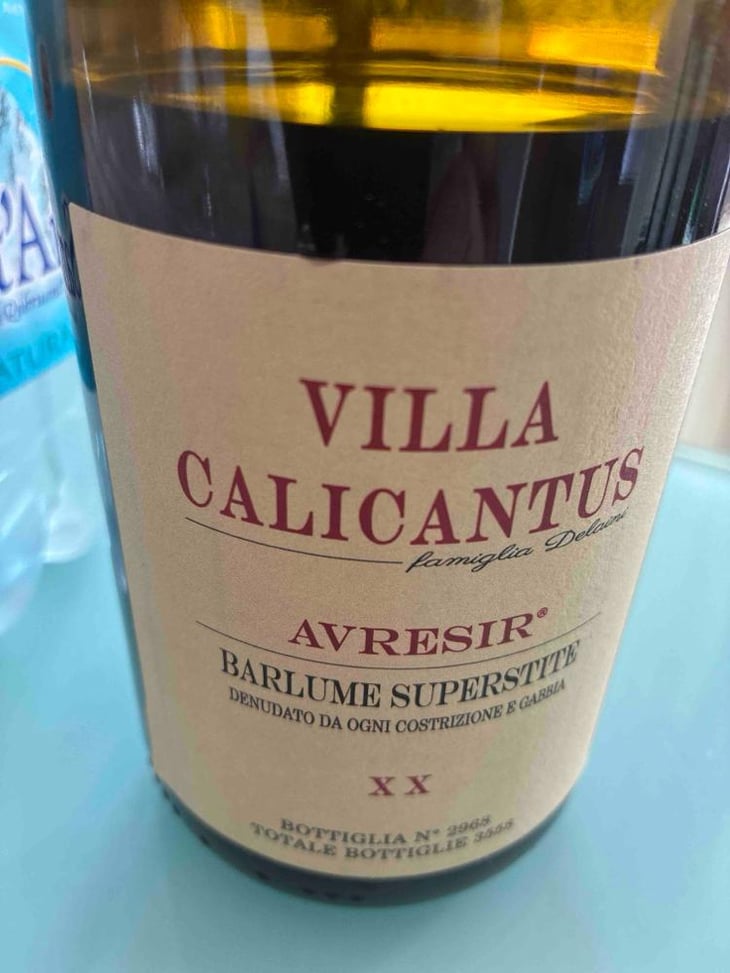 AVRESIR - Villa Calicantus - Daniele e Chiara Delaini 