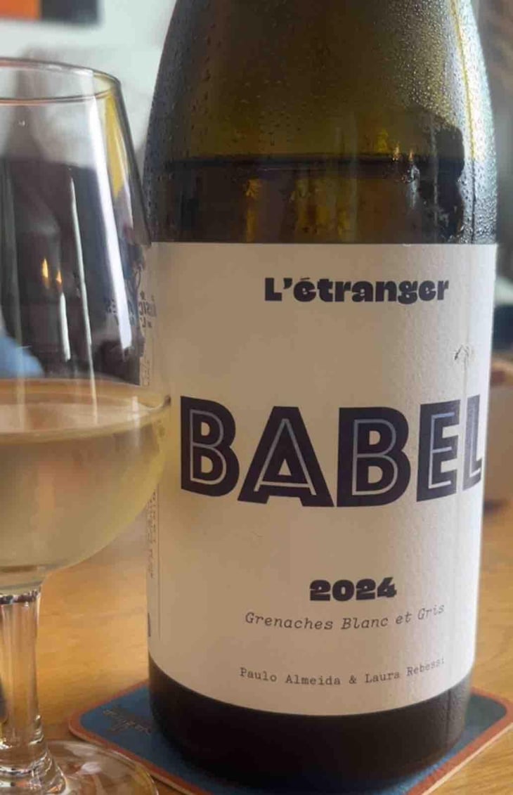Babel - Domaine de L'Étranger - Paulo Almeida & Laura Rebeissi 