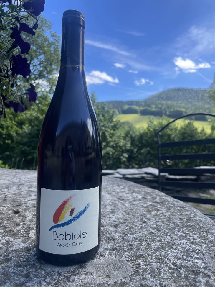 Babiole - Andrea Calek - Andrea Calek et Stephana Nicolescu 