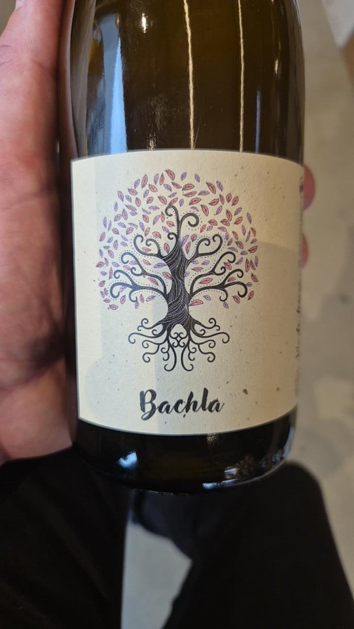 Bachla - Maxime Stoltz - Maxime Stoltz -2024