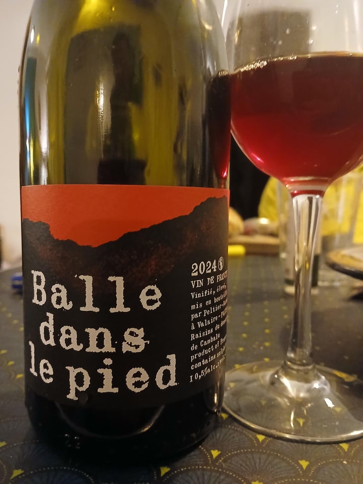 Balle dans le pied Rouge - Domaine Peltier Ravineau - Achille Ravineau & Arthur Peltier -2024