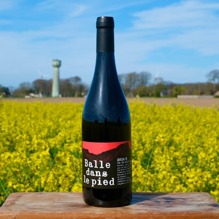 Balle dans le pied Rouge - Domaine Peltier Ravineau - Achille Ravineau & Arthur Peltier -2024