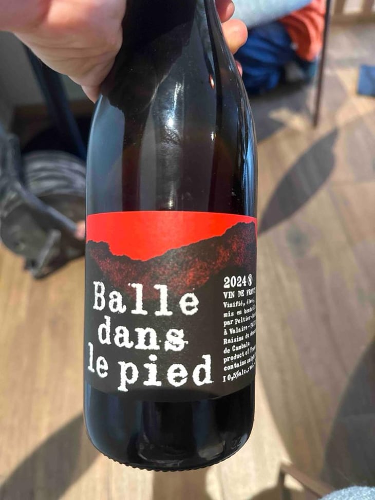 Balle dans le pied Rouge - Domaine Peltier Ravineau - Achille Ravineau & Arthur Peltier -2024