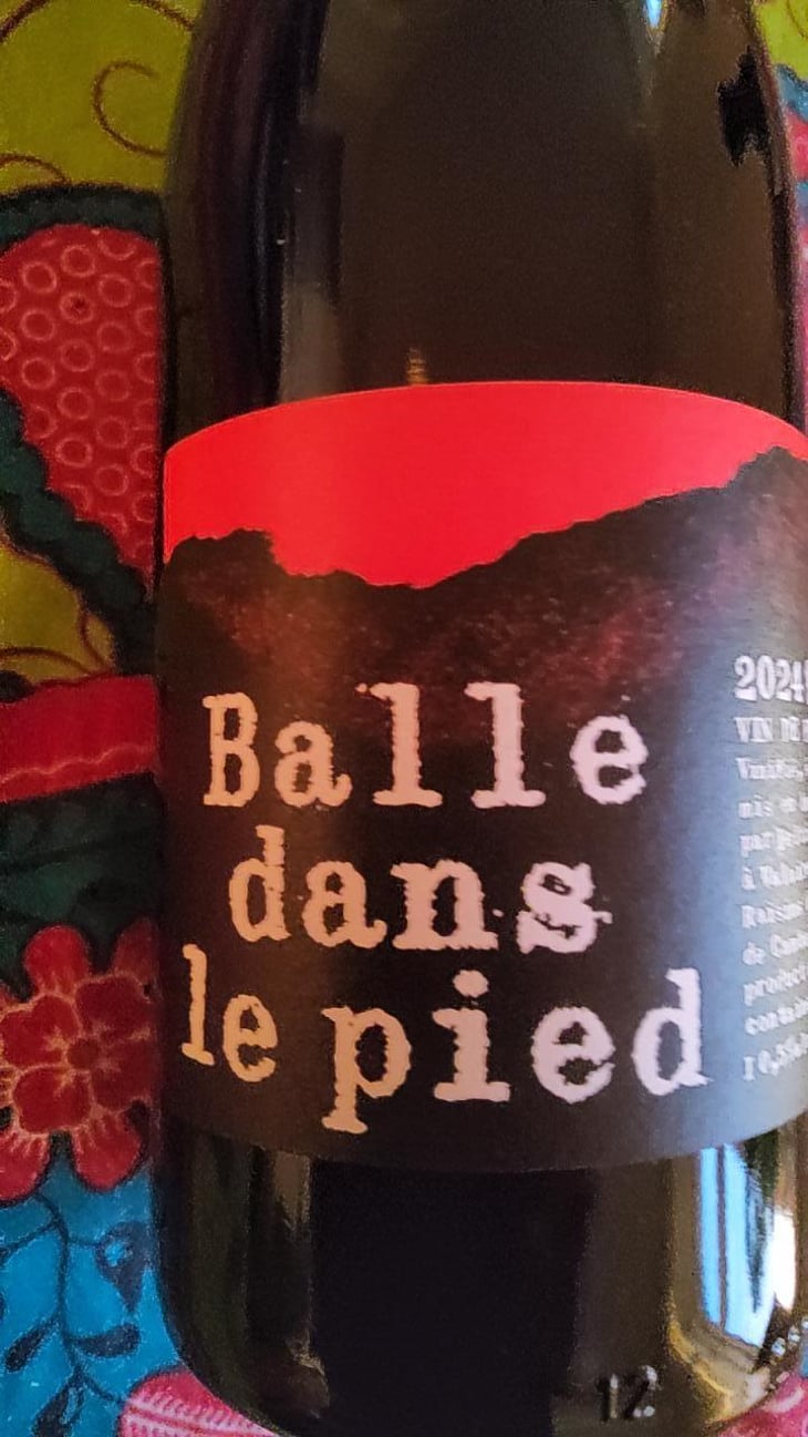Balle dans le pied Rouge - Domaine Peltier Ravineau - Achille Ravineau & Arthur Peltier -2024