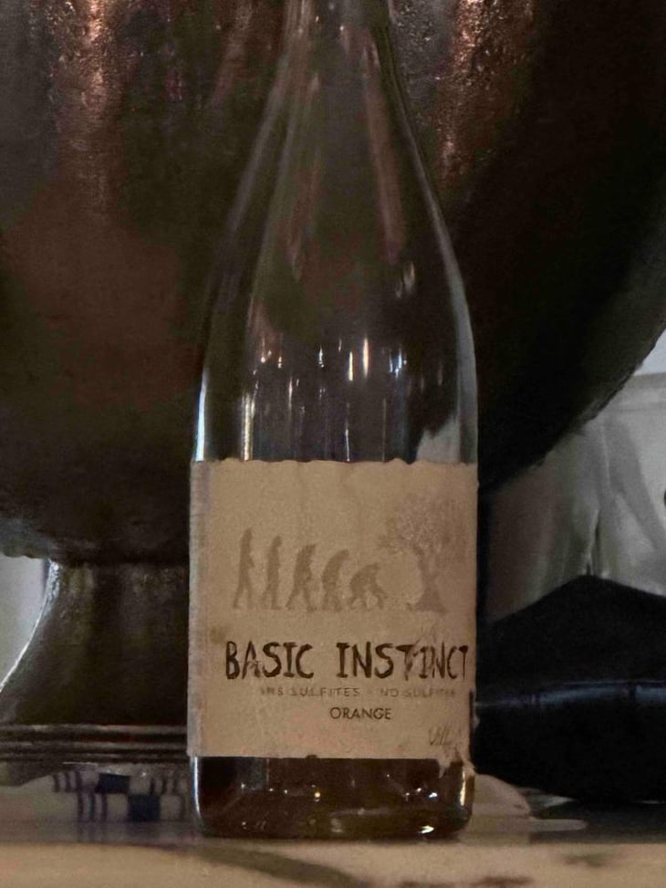 BASIC INSTINCT ORANGE - Villa Noria - Cédric Arnaud & Fabien Gross -2022
