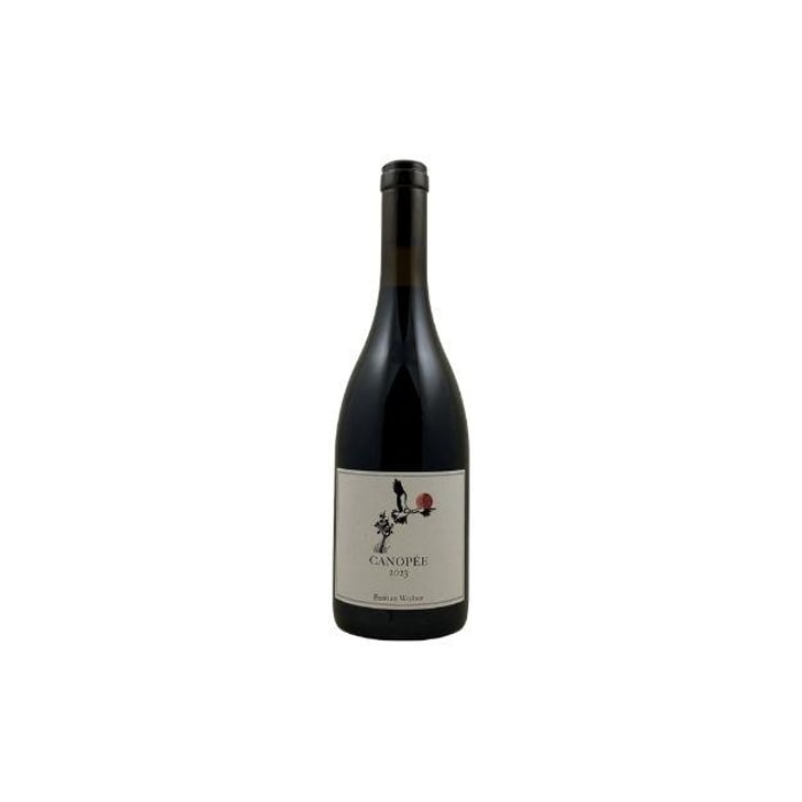 Canopée - Laisse Tomber - Bastian Wolber -2023