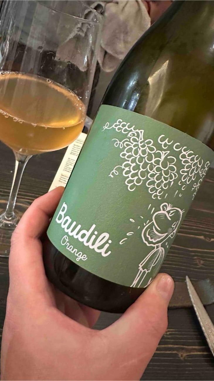 Baudili Orange - Ramon Jané Viticultor - Ramón Jané -2024