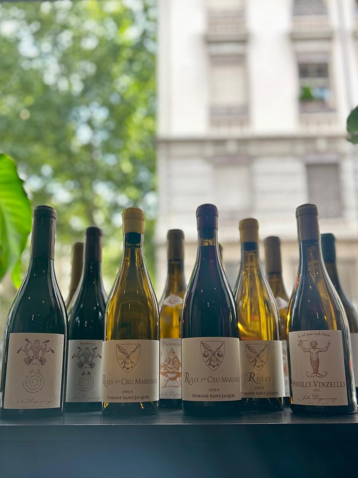 Beaujolais  Pataphysique - Domaine Jules Desjourneys - Jules Desjourneys 