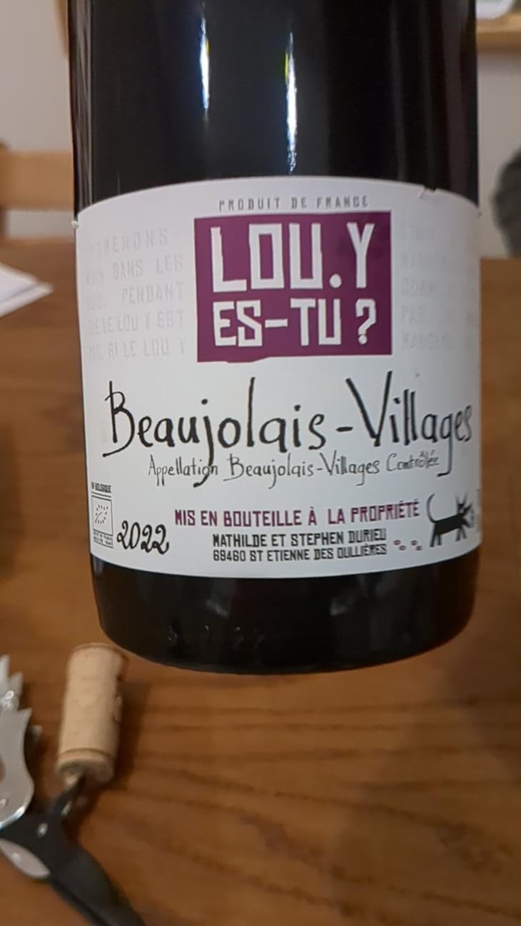 Beaujolais-Villages - Lou. Y Es-Tu? - Mathilde & Stephen Durieu 