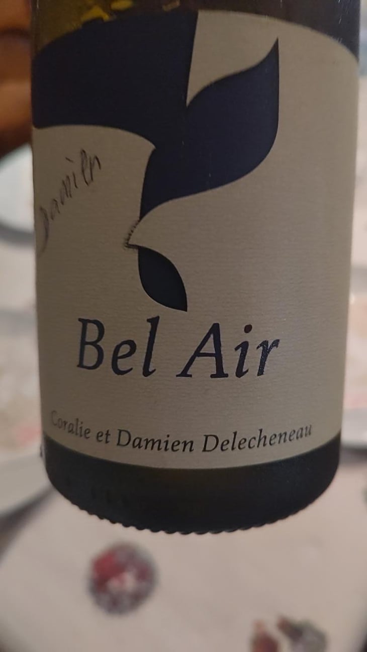 Bel Air - La Grange Tiphaine - Coralie & Damien Delécheneau 