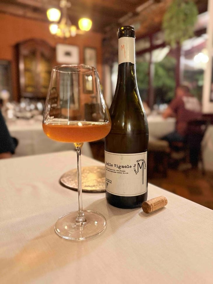 Belle Vignole - Tenuta Macchiarola - Domenico Mangione 