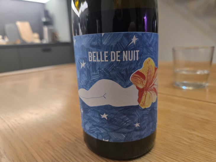 Belles de Nuit - Mille et Une Nuits - Leila Pailhès & Marc Gauthier 