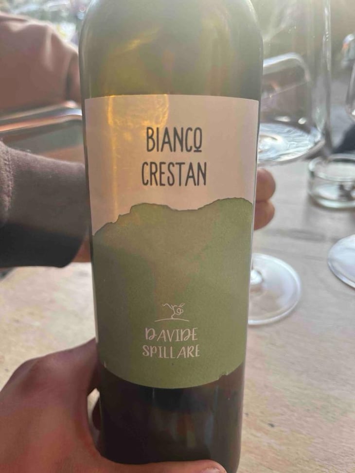 Bianco Crestan - Azienda Agricola Davide Spillare - Davide Spillare 