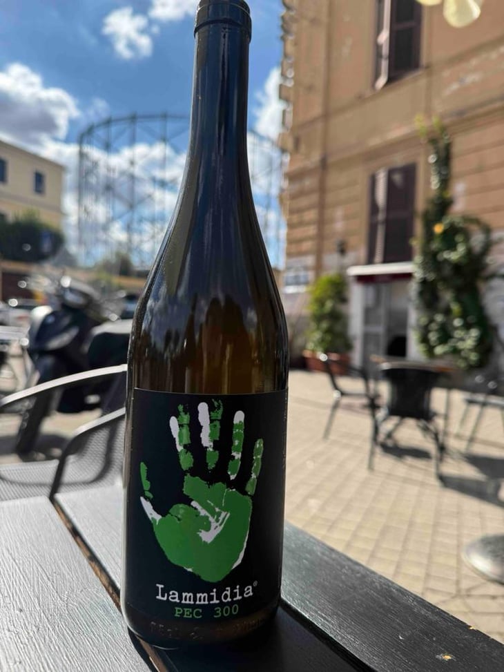 Bianco - The Natural Wine Company - Lammidia - Marco Giuliani & Davide Gentile -2021