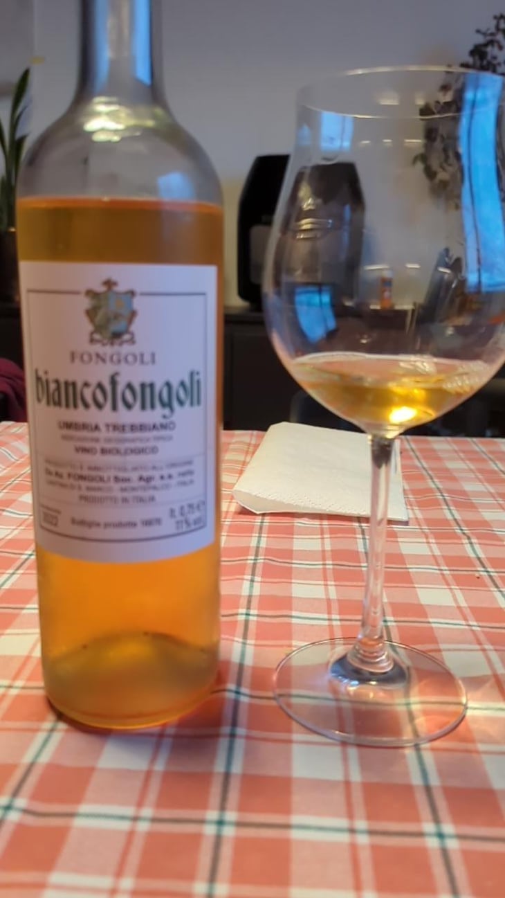 Biancofongoli - Fongoli - Angelo Fongoli 