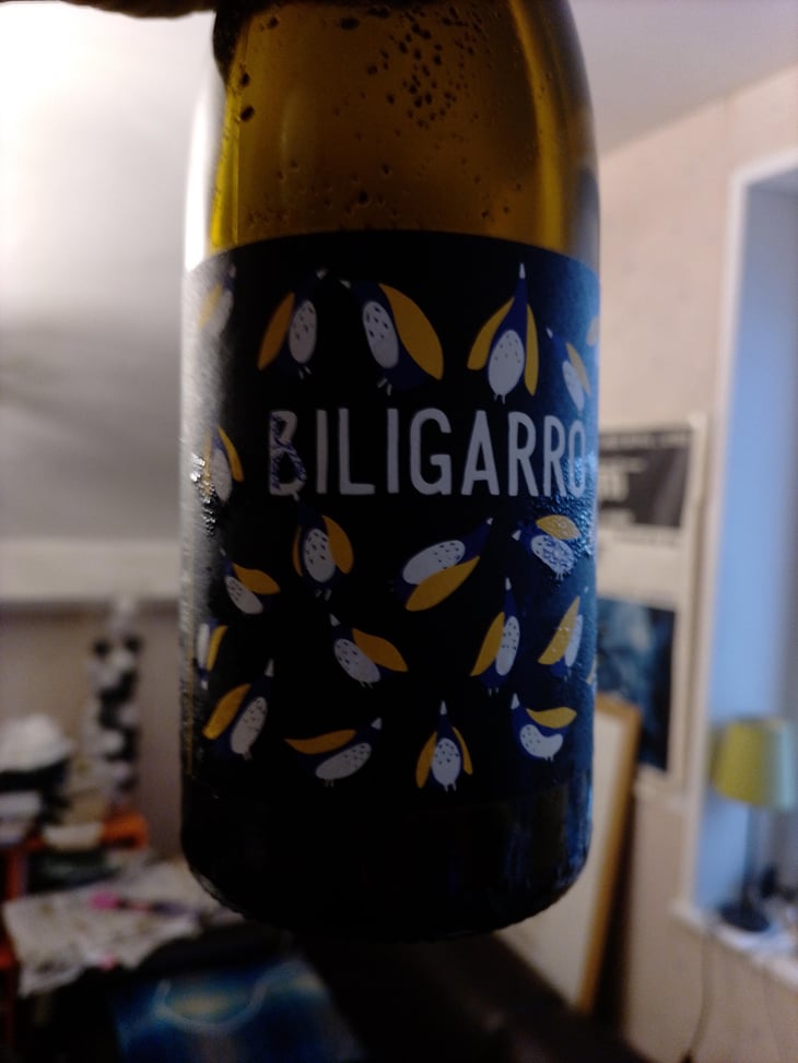 Biligaro - Fontaine Des Grives / Château Richard - Leila Laré & Benoit Périssé -2021