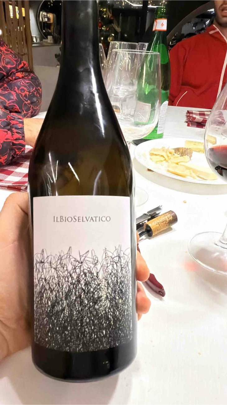 Bioselvatico Sangiovese - Bioselvatico di Filippo Volpi - Filippo Volpi -2019