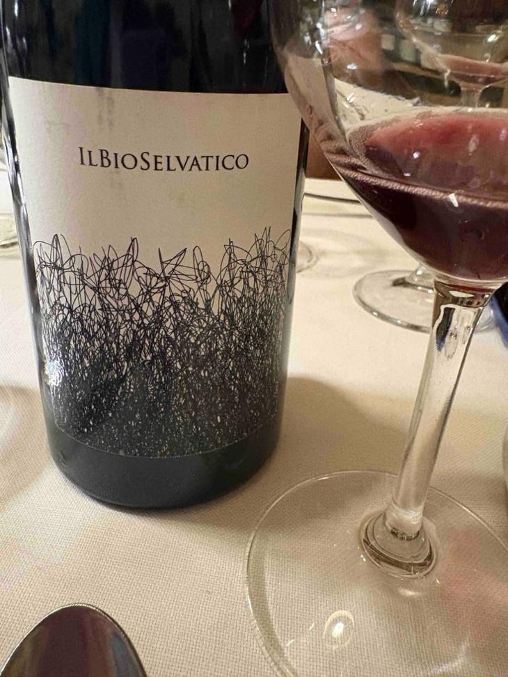 Bioselvatico Sangiovese - Bioselvatico di Filippo Volpi - Filippo Volpi -2019