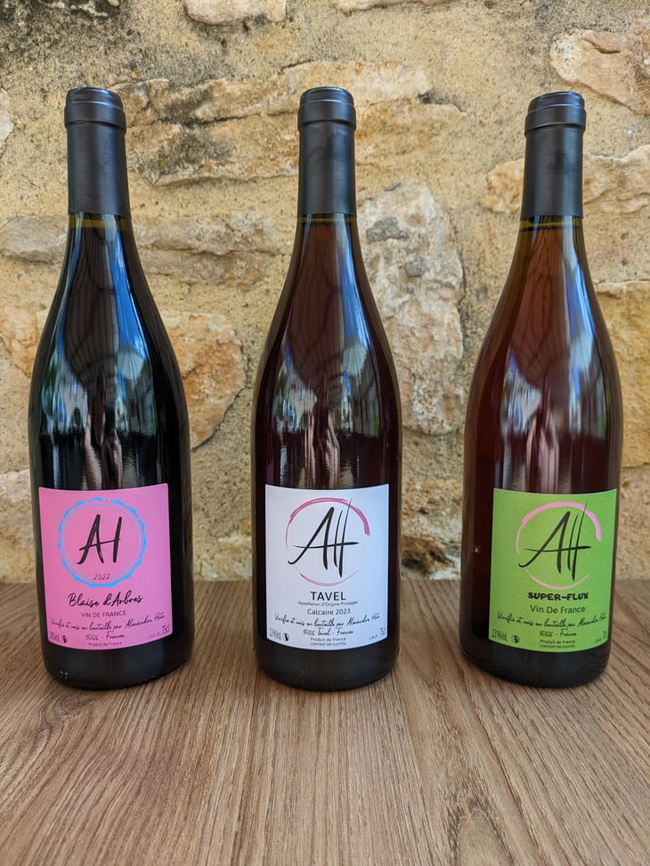 Blaise d'Arbres - Domaine Alexandre Hote - Alexandre Hote 