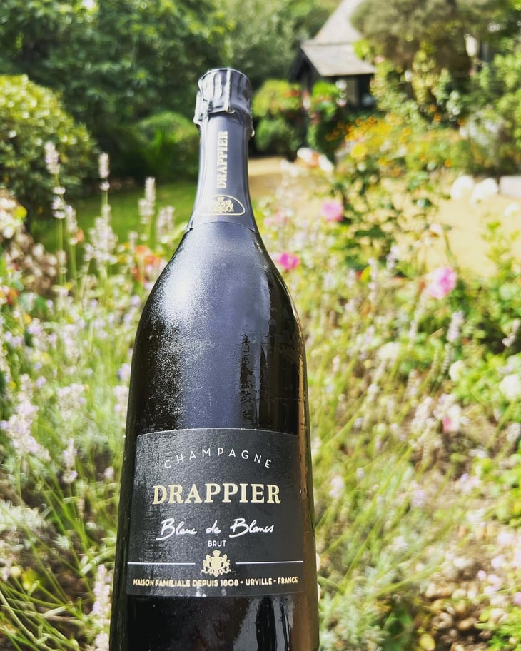 Blanc de Blancs - Champagne Drappier - André & Michel Drappier 
