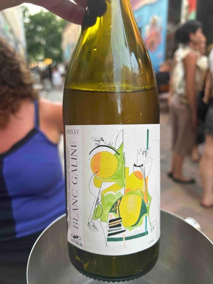 Blanc Galine - La Ferme Viticole - Bastien Boutareaud -2023