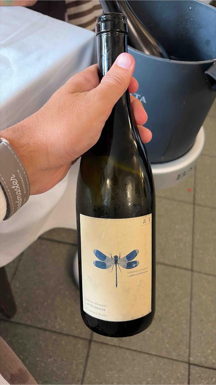 Blaue Libelle - Sauvignon Blanc - Weingut Andreas & Elisabeth Tscheppe - Andreas & Elisabeth Tscheppe 