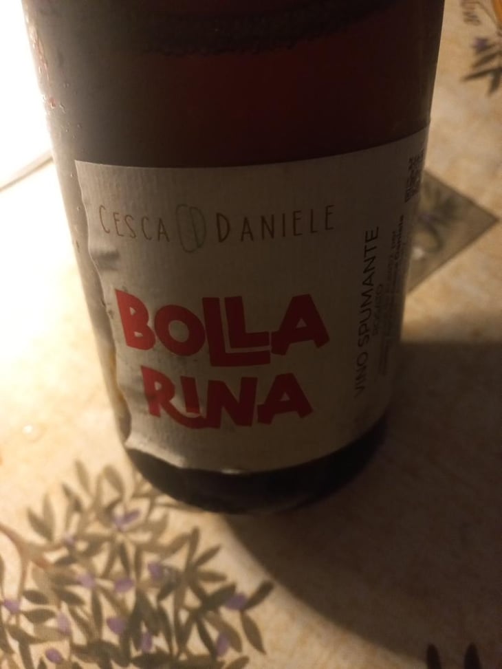Bolla rina - Cesca Daniele - Daniele Cesca -2023