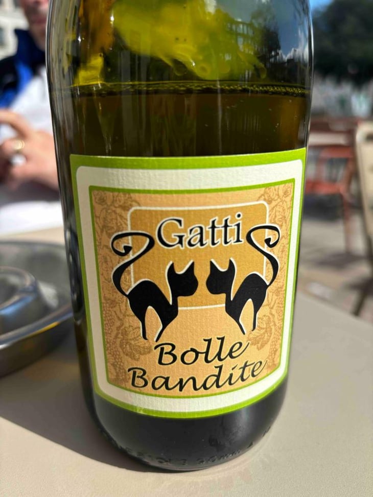 Bolle Bandite - Azienda Agricola Gatti - Carolina Gatti 