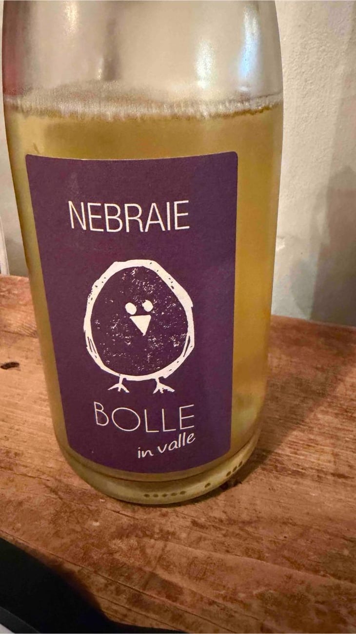 BOLLE in valle - Azienda Agricola Nebraie - Andrea Tacchella -2022