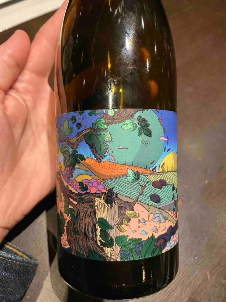 Boréale - Domaine De L’Enviegne - Alexis Tondeur 