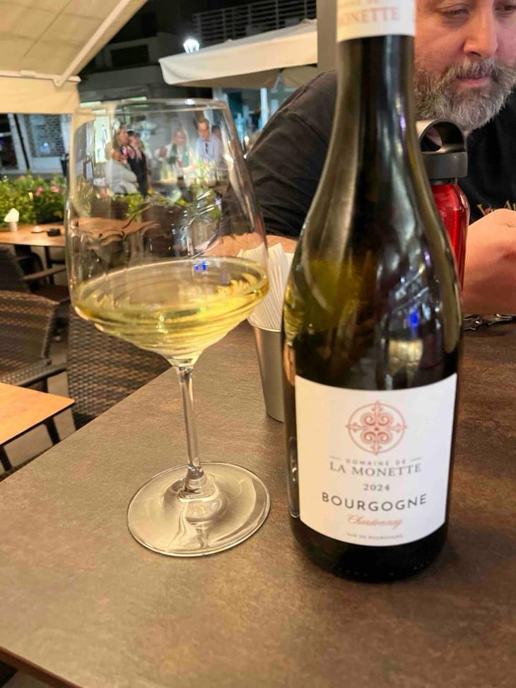 Bourgogne - Domaine de la Monette - Roelof & Marlon Ligtmans-Steine -2024