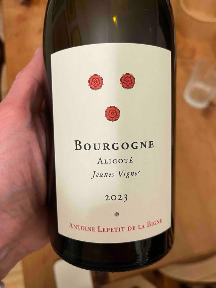Bourgogne - Antoine Lepetit de la bigne - Antoine Lepetit de la bigne -2022