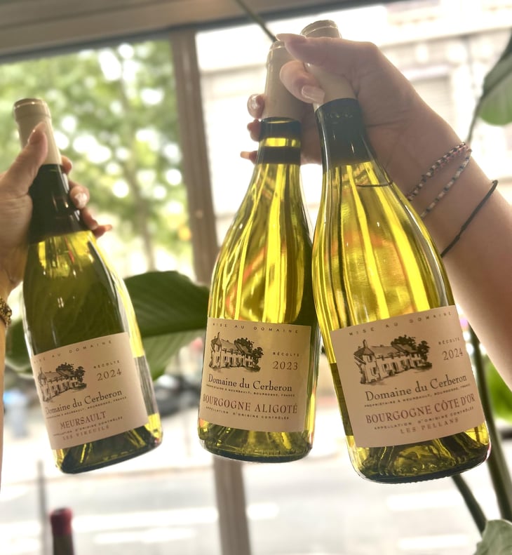 BOURGOGNE ALIGOTE - Domaine du Cerberon - Domaine du Cerberon -2023
