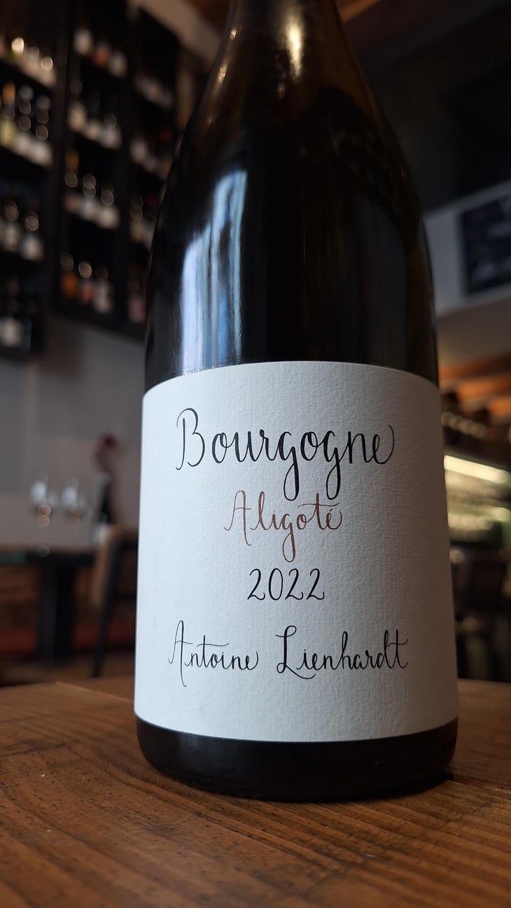 Bourgogne Aligoté (Label from 2020) - Antoine Lienhardt - Antoine Lienhardt 