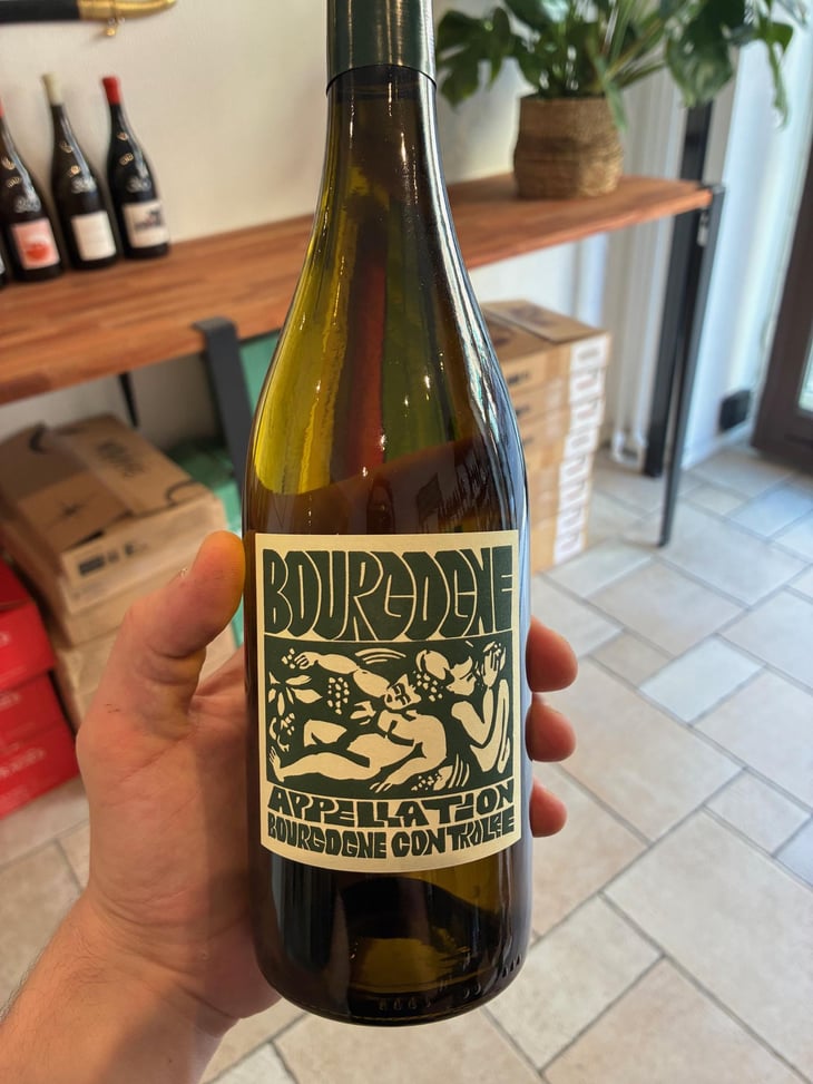 Bourgogne Blanc - Domaine de La Soeur Cadette - Jean & Valentin Montanet 