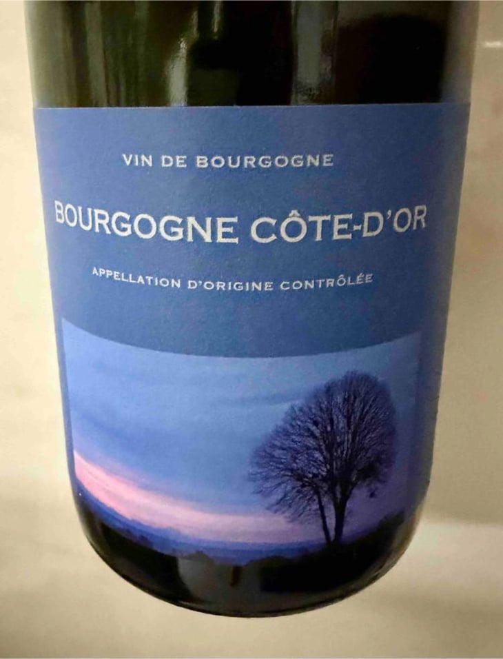Bourgogne Côte d'Or - Maison Skyaasen - Joachim Skyaasen -2024