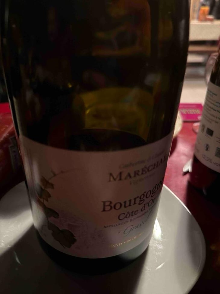 Bourgogne Côte d’or Gravel - Domaine Maréchal - Catherine & Claude Maréchal -2019