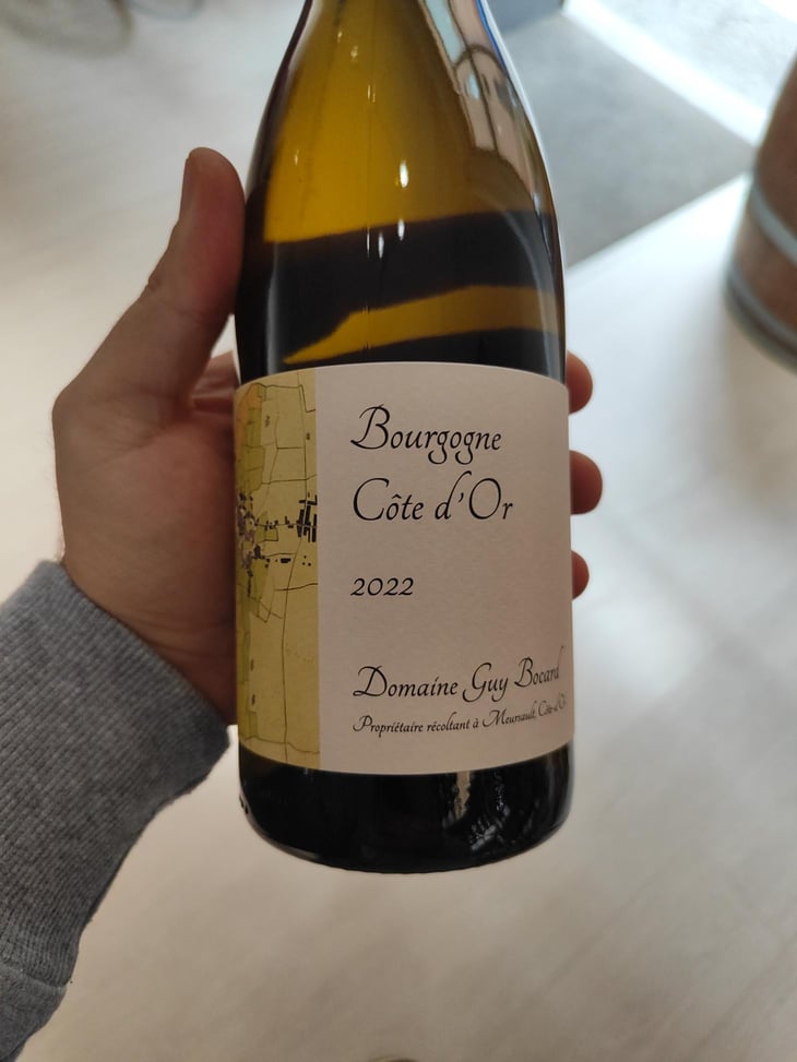 Bourgogne Côte d'Or - Domaine Guy Bocard - Charles Bocard -2022