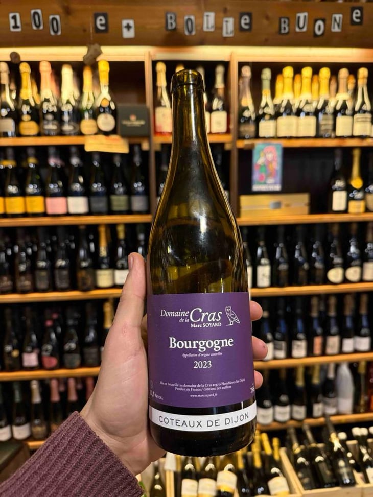 Bourgogne Côteaux de Dijon Rouge - Domaine de la Cras - Marc Soyard 