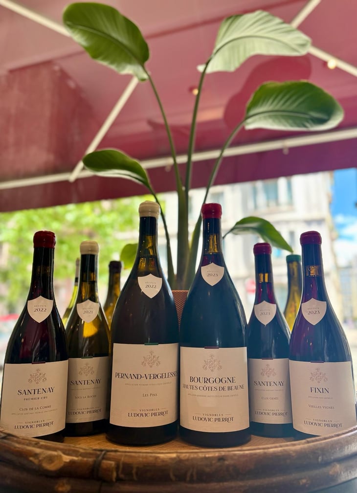 BOURGOGNE HAUTES CÔTES DE BEAUNE - Ludovic Pierrot - Ludovic Pierrot -2023